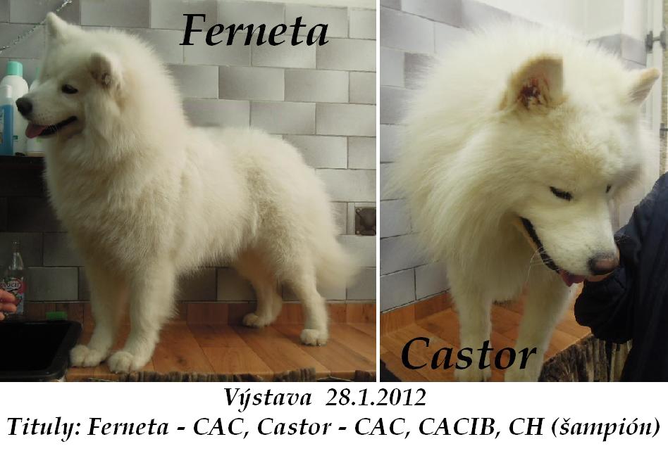 5 Ferneta a Castor 27.1.2012